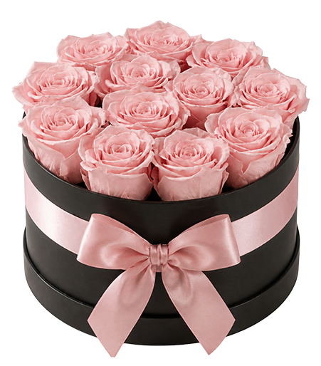 12 Lasting Roses in a Hatbox