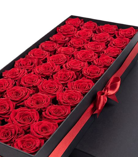 40 Lasting Roses in a Deluxe Box