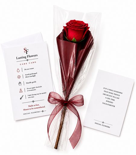 The Lasting Rose