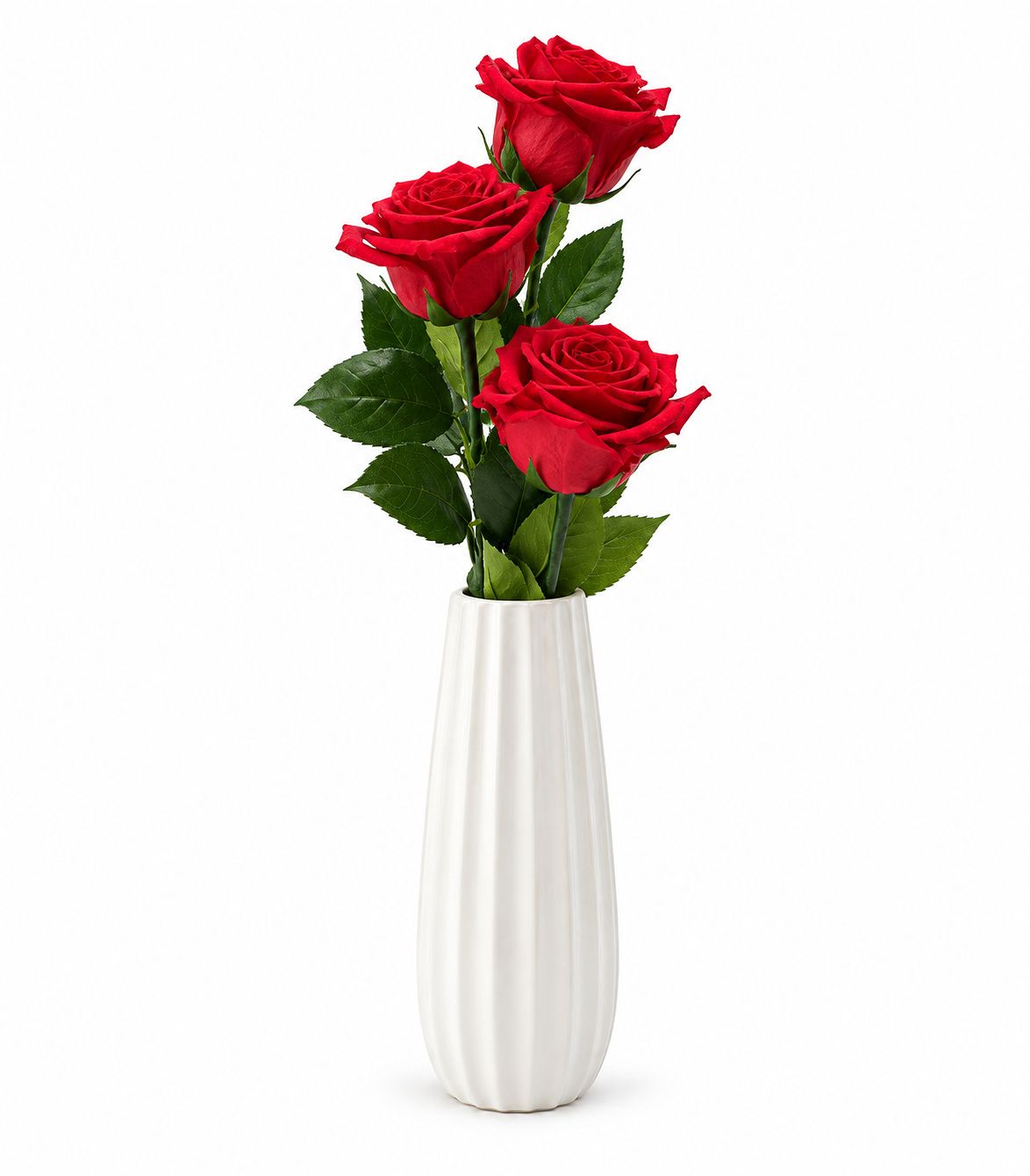 Three Lasting Roses